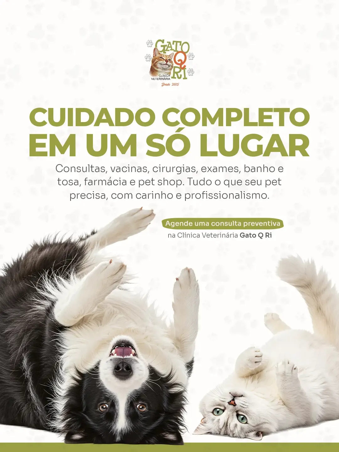 Cirurgia veterinária Mauá