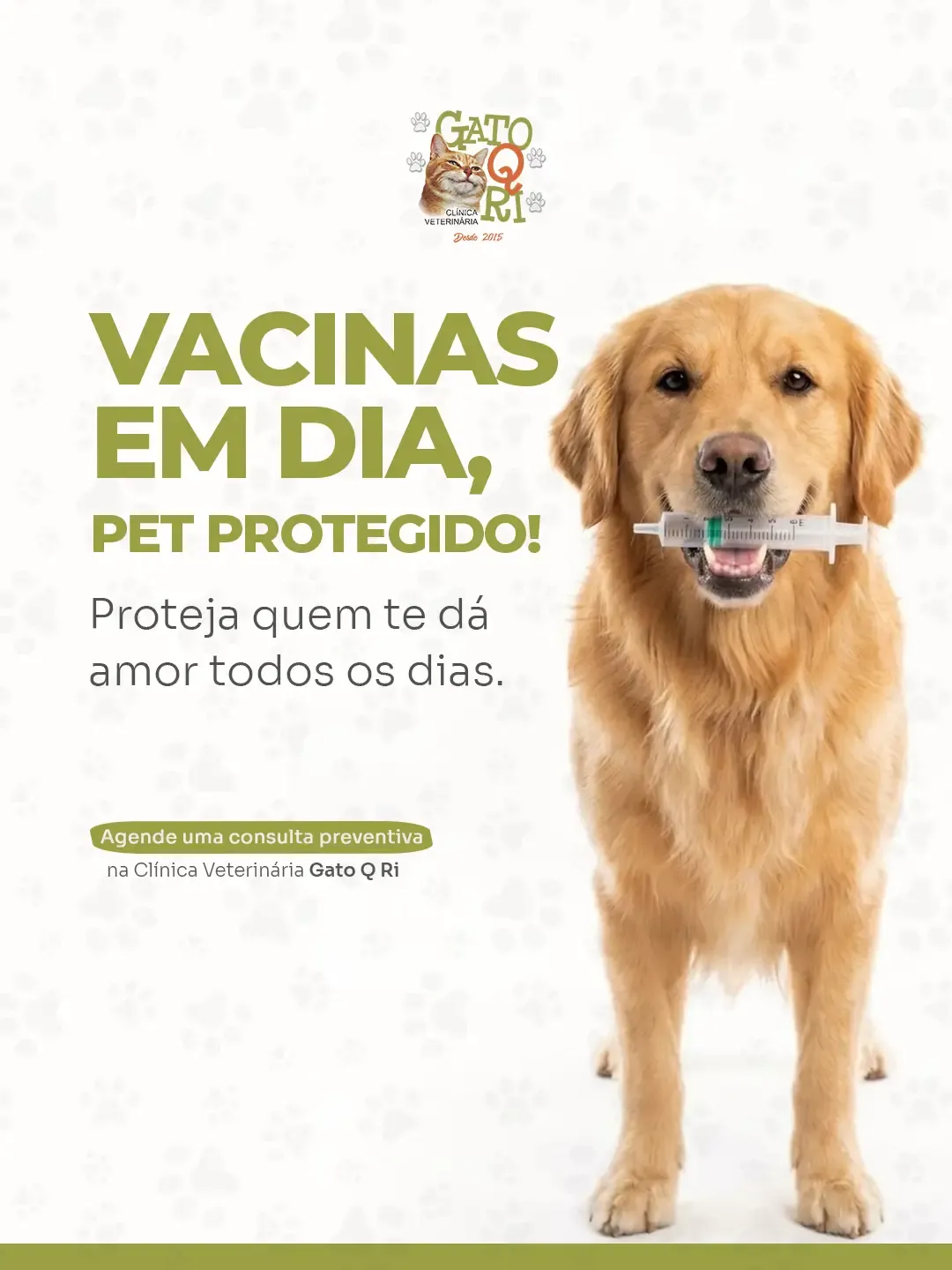 Vacinação de cães em Mauá