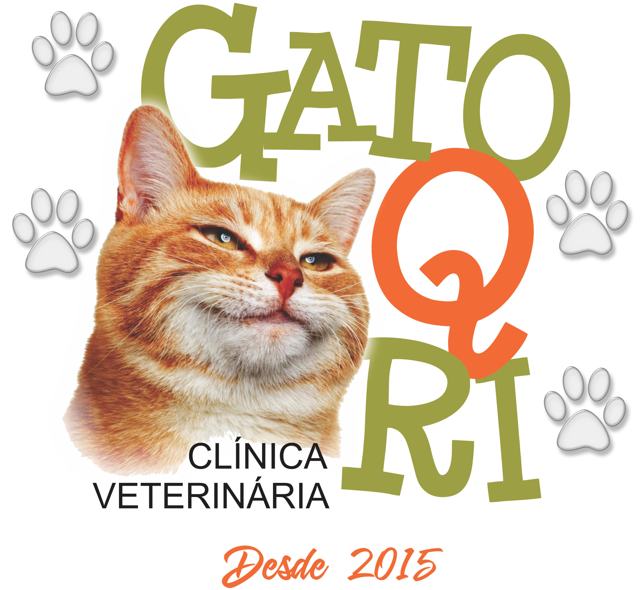 Gato Q Ri